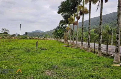 Terreno a venda na rodovia dos macacos - camboriú/sc