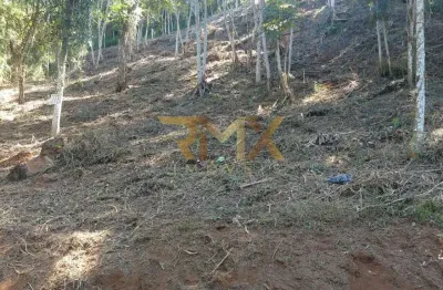 Terreno à venda, com 1.848 m², condominio estrada real - juiz de fora mg