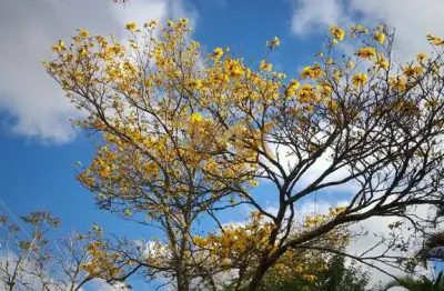 Linda granja a venda no novo horizonte juiz de fora mg