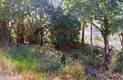 Chácara / sítio à venda na Rua José Benedito Arcanjo, Parque das Videiras, Jarinu