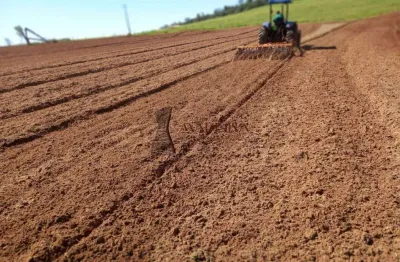 Chácara / sítio à venda na Zona Rural, Munhoz de Melo 