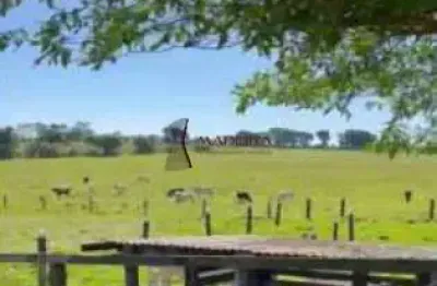Propriedade rural à venda, centro - cruzeiro do oeste/pr