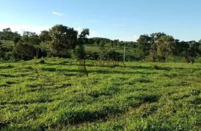 Chácara / sítio com 2 quartos à venda na Zona Rural, Ribeirão Cascalheira 
