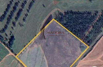 Chácara / sítio com 3 quartos à venda no Zona Rural, Cidade Gaúcha 