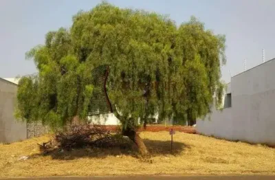 Terreno à venda na Rua Francisco Jorge Ribeiro, 81639, Jardim Oriental, Maringá
