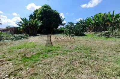 Terreno residencial de 1029m² à venda no jardim diamante - maringá pr - oportunidade imperdível