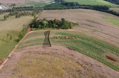 Sítio à venda - oportunidade única na região de cianorte/pr