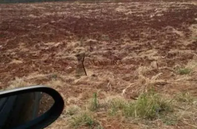 Terreno à venda na Vila Cascata, Arapongas 