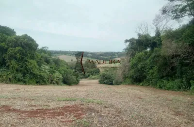 Chácara / sítio à venda na Área Rural de Apucarana, Apucarana 