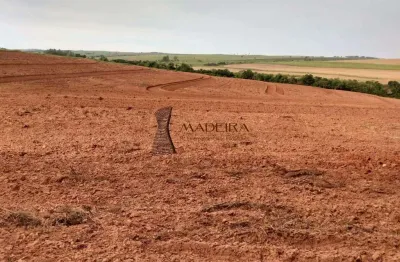 Chácara / sítio à venda na Área Rural de Umuarama, Umuarama 
