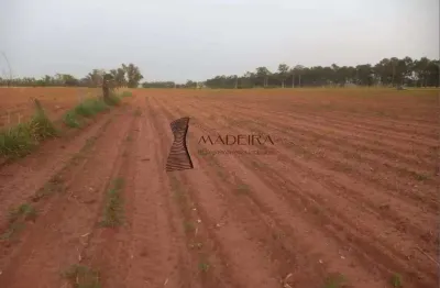 Chácara / sítio com 1 quarto à venda na ÁRea Rural, 67, Zona Rural, Santa Cruz de Monte Castelo