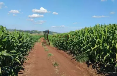 Chácara / sítio à venda no Centro, Engenheiro Beltrão 