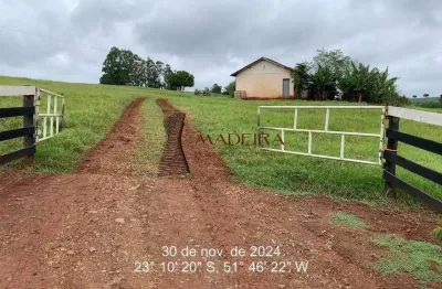 Sítio produtivo à venda em munhoz de mello – 1,97 alqueires a 500m do asfalto