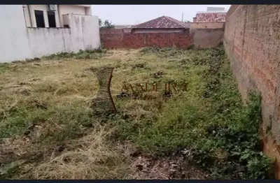 Terreno comercial à venda na avenida das grevíleas – maringá/pr r$ 450.000 | 300 m² | frente com 14 metros