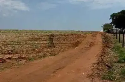 Terreno à venda na Zona Rural, Presidente Castelo Branco 