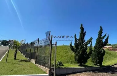 Chácara / sítio com 2 quartos à venda na Estrada Zauna, S/N, Parque Alvamar, Sarandi