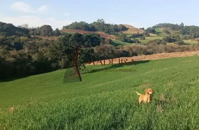 Chácara / sítio com 1 quarto à venda na ÁRea Rural, 58, Zona Rural, Iretama