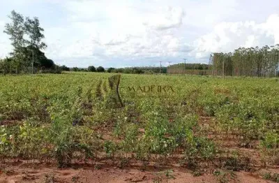 Vende-se chácara de 5.000m em presidente castelo branco-pr