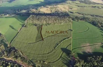 Vende-se sítio 8 alqueires de terra rocha em jandaia do sul pr