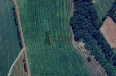 Chácara / sítio à venda na Zona Rural, 5, Zona Rural, Nova Esperança