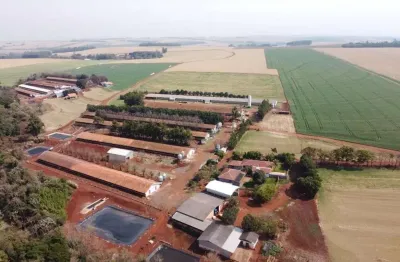 Chácara / sítio com 3 quartos à venda na Pr-317, PR, Área Rural de Toledo, Toledo