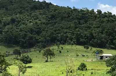 Chácara / sítio à venda no centro, paraibuna  por r$ 220.000
