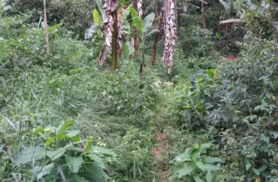 Chácara / sítio com 1 quarto à venda no são benedito, monteiro lobato  por r$ 270.000