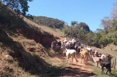 Fazenda com 2 salas à venda no centro, cunha  por r$ 5.180.000
