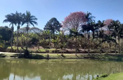 Chácara / sítio com 2 quartos à venda no guardinha de baixo, monte sião  por r$ 1.350.000