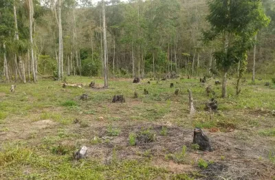 Chácara / sítio com 1 quarto à venda na ponte nova, monteiro lobato  por r$ 260.000