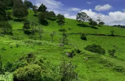 Chácara / sítio à venda no paiol velho, são bento do sapucaí  por r$ 1.500.000