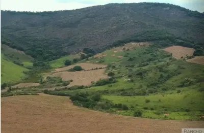 Fazenda à venda no Centro, Três Corações 
