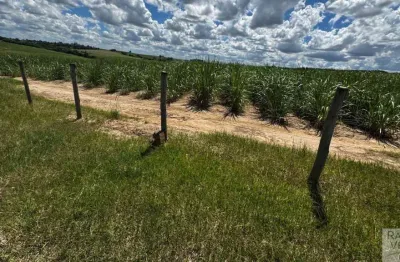 Fazenda à venda na Zona Rural, Porto Feliz 