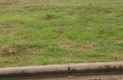 Terreno para venda em araraquara, residencial ravena