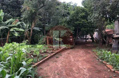 Terreno à venda no Trevo, Belo Horizonte 