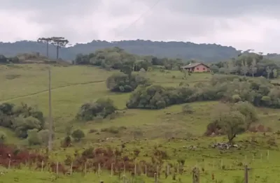 Fazenda para venda em caxias do sul, mulada, 3 dormitórios, 1 suíte, 3 banheiros, 3 vagas