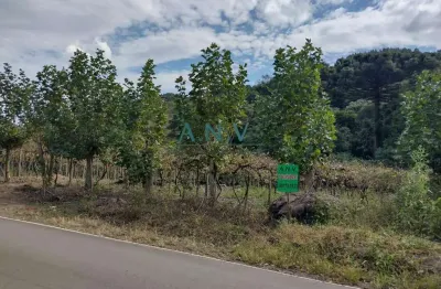 Chácara / sítio à venda em Loreto, Caxias do Sul 