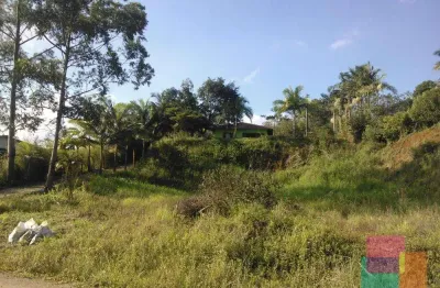 Terreno à venda na ana de borba pereira, --, corveta, araquari por r$ 16.400.000