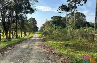 Terreno à venda na otto zschoerper, --, campestre, campo alegre por r$ 750.000
