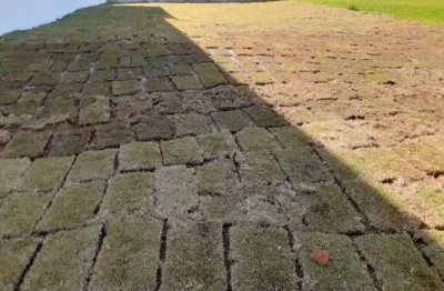 Terreno em condomínio fechado à venda na alameda das cássias, tamboré, santana de parnaíba por r$ 5.100.000