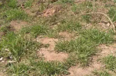 Terreno à venda no Jardim Ana Estela, Carapicuíba 