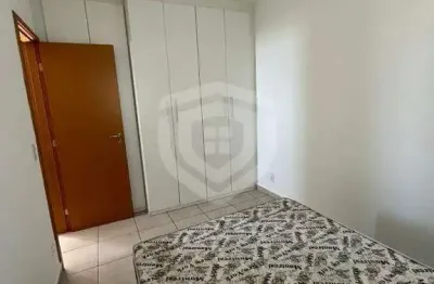 Apartamento para locação com 2 quartos 53m² - edifício belvedere
