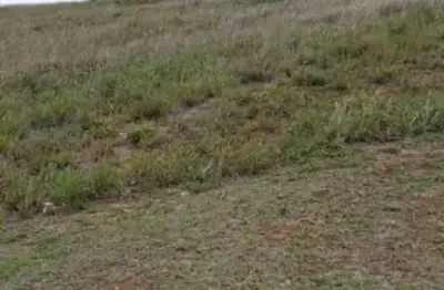 Terreno à venda, 572 m² por r$ 743. - aldeia da serra - santana de parnaíba/sp c