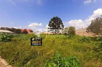 Terreno à venda na Rua Vereador Olinto Rosa Pimentel, São Cristóvão, Guarapuava