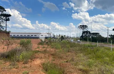 Otimo terreno de 12mil metros quadrados na xv de novembro em gpva