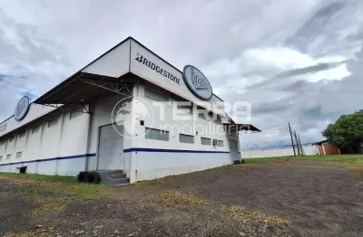 Barracão / Galpão / Depósito para alugar no Morro Alto, Guarapuava 