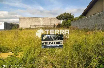 Terreno à venda na Rua Padre Chagas, Alto da XV, Guarapuava