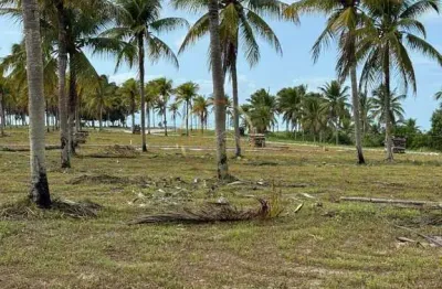 Lote de 300m² em coroa vermelha por r$200.000 - venda