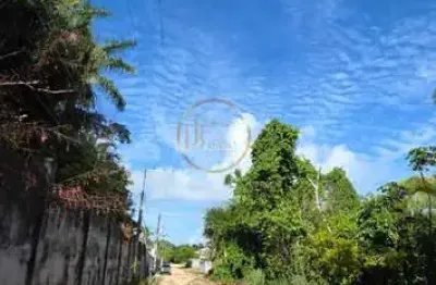 Terreno à venda na Alameda Dos Ipês, Village II, Porto Seguro