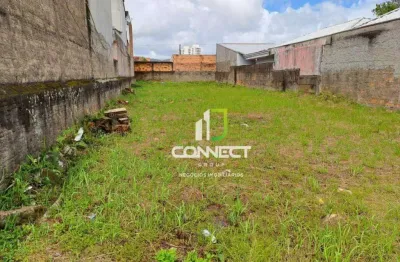 Terreno à venda, 350 m² por r$ 700.000,00 - são joão - itajaí/sc